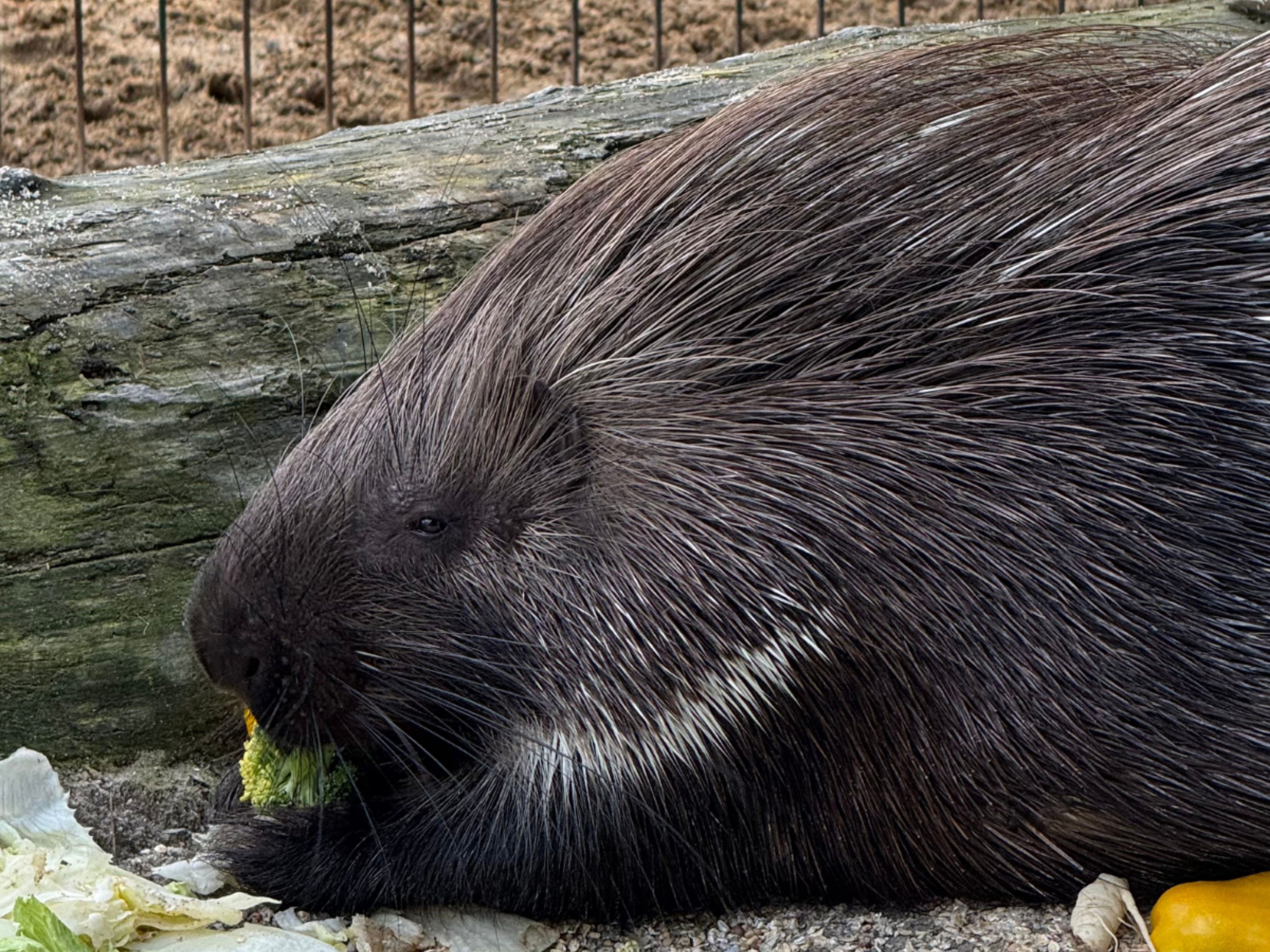 Návrh bez názvu (10)